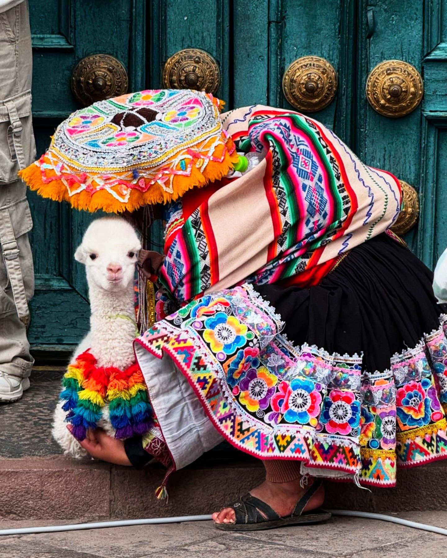 Lhama em Cusco