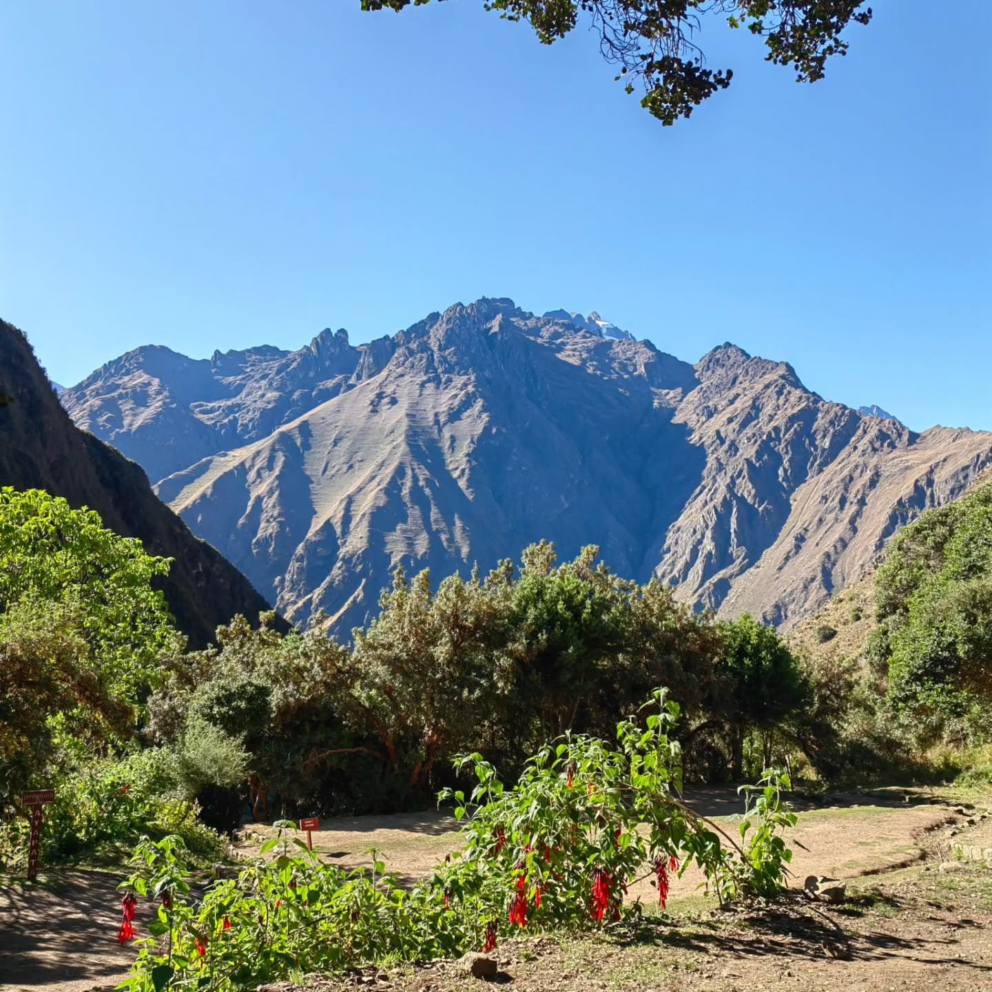 Machu Picchu (16)