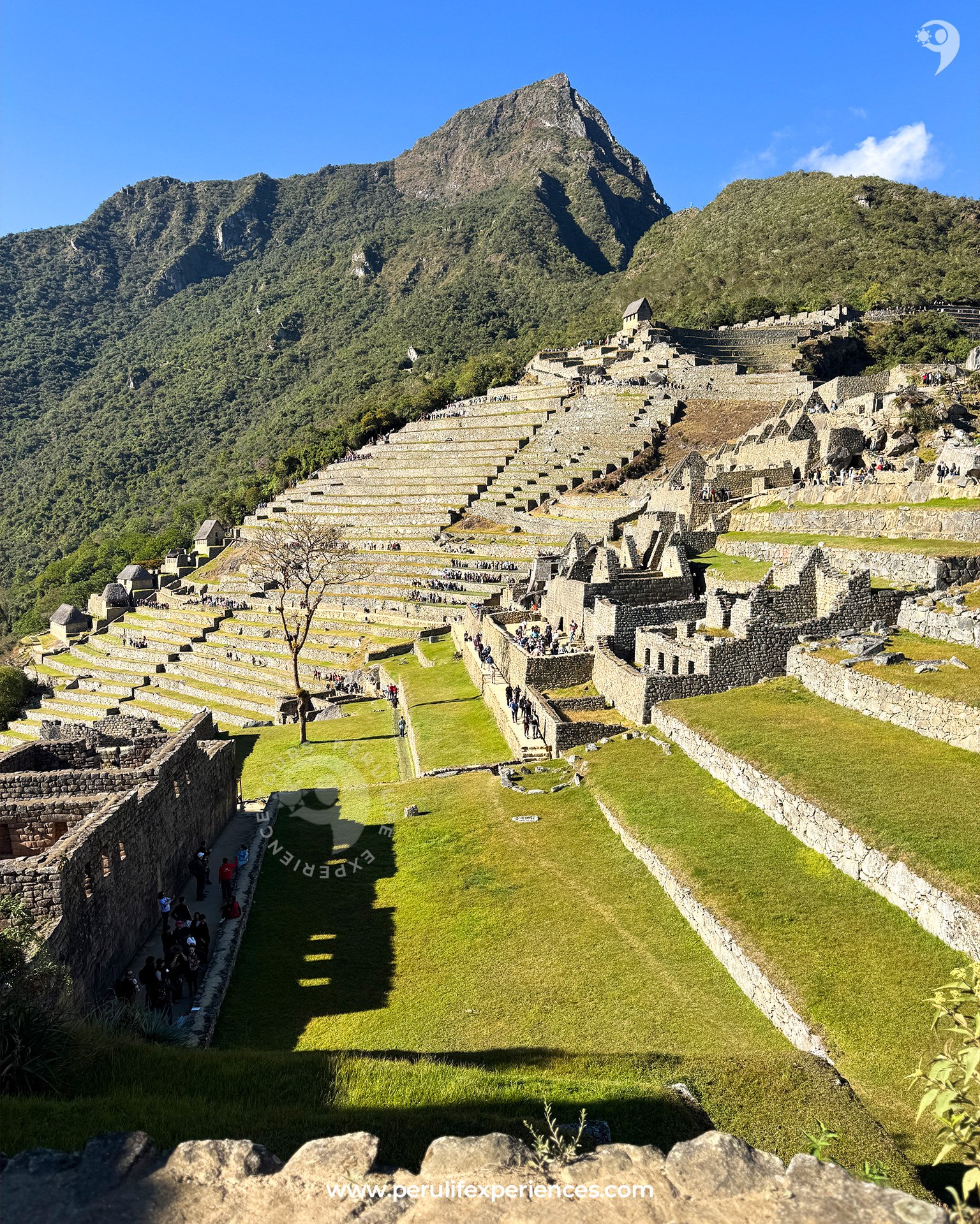 Machu Picchu (40)
